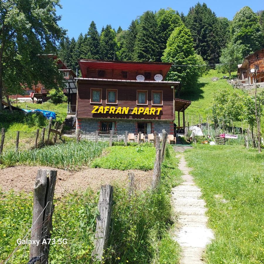 Villa Zafran Ayder Yaylasi Exterior foto